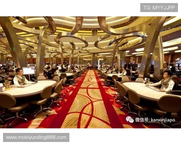 揭秘云顶十大赌场的设施与特色,体验最奢华的赌城魅力