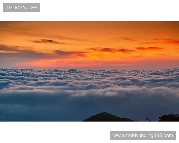 马来西亚云顶官方网址最新版本下载指南，确保玩家使用最稳定的游戏客户端体验